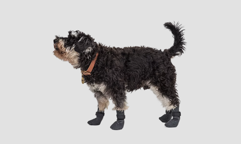 Lot de quatre chaussettes de sport pour chien en gris avec semelles antidérapantes, faciles à laver, légères pour le confort extérieur de votre chien.